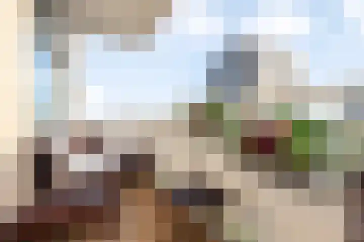 Nachtwachtlaan 470 Amsterdam thumbnail 28