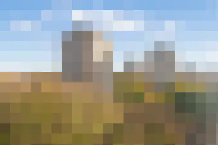 Nachtwachtlaan 470 Amsterdam thumbnail 32