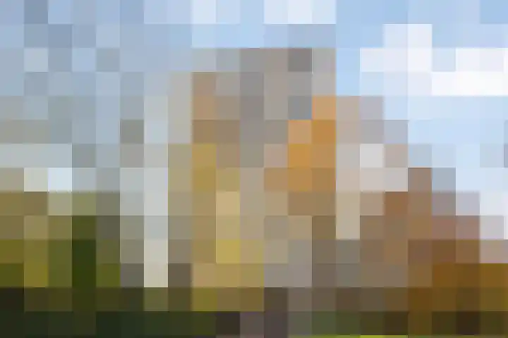 Nachtwachtlaan 470 Amsterdam thumbnail 33