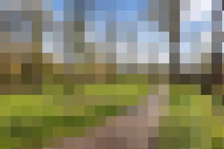 Nachtwachtlaan 470 Amsterdam thumbnail 34