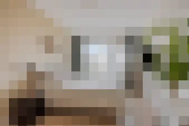 Nachtwachtlaan 471 Amsterdam thumbnail 29