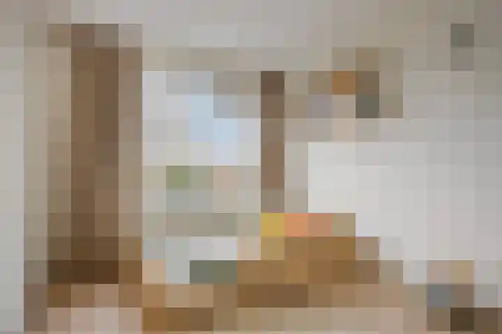 Nachtwachtlaan 471 Amsterdam thumbnail 32