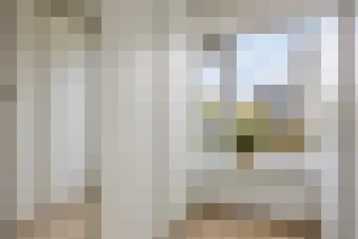 Nachtwachtlaan 471 Amsterdam thumbnail 34
