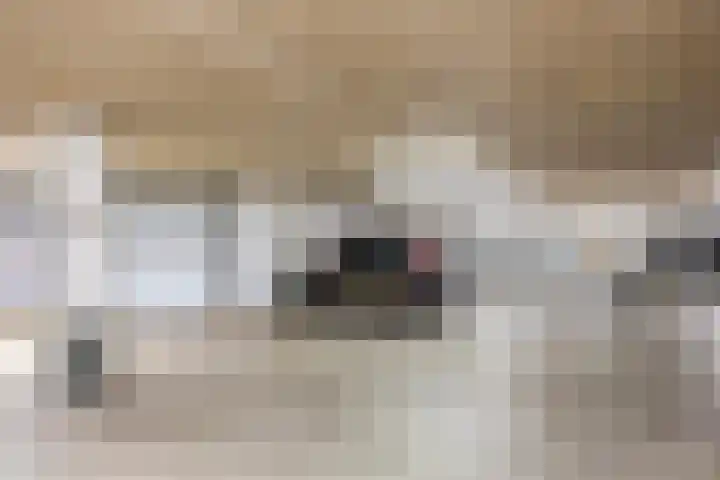 Nachtwachtlaan 471 Amsterdam thumbnail 37