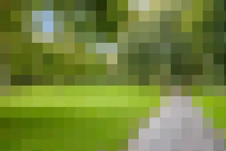Nachtwachtlaan 471 Amsterdam thumbnail 40
