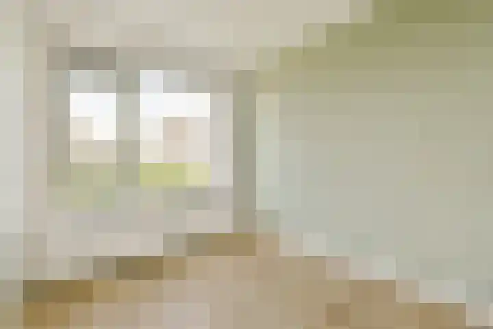 Nachtwachtlaan 479 Amsterdam thumbnail 19