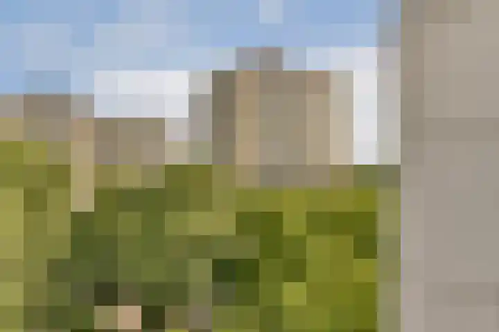 Nachtwachtlaan 479 Amsterdam thumbnail 23