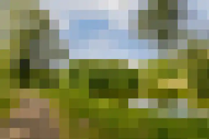 Nachtwachtlaan 479 Amsterdam thumbnail 24