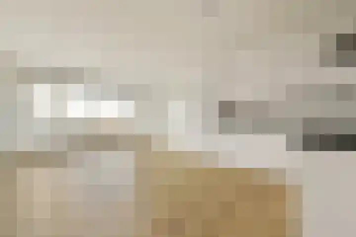 Nachtwachtlaan 479 Amsterdam thumbnail 5