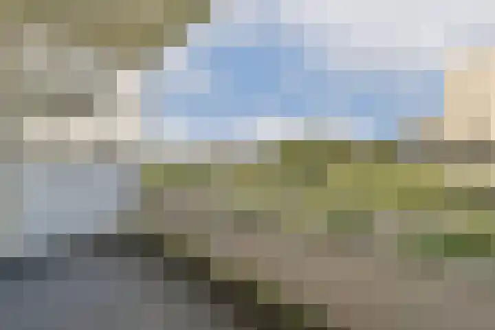Nachtwachtlaan 479 Amsterdam thumbnail 9