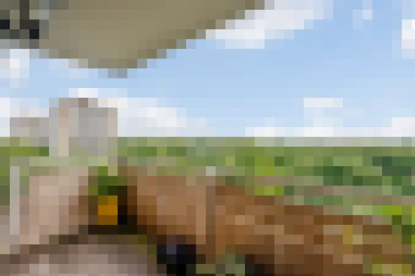 Nachtwachtlaan 480 Amsterdam thumbnail 18