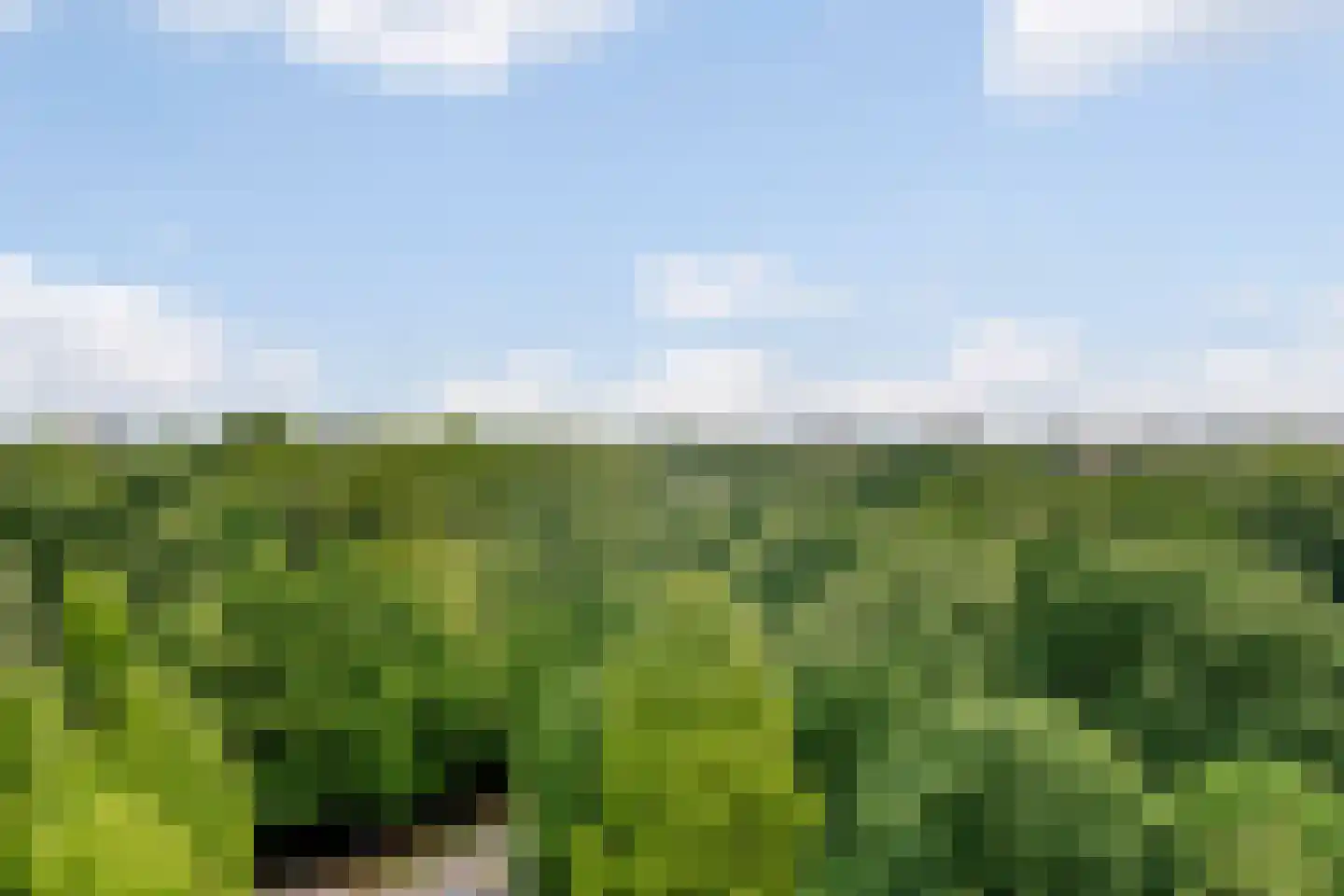 Nachtwachtlaan 480 Amsterdam thumbnail 20
