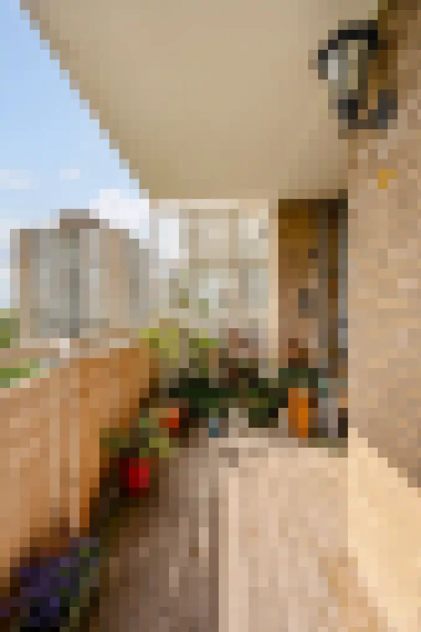 Nachtwachtlaan 480 Amsterdam thumbnail 22