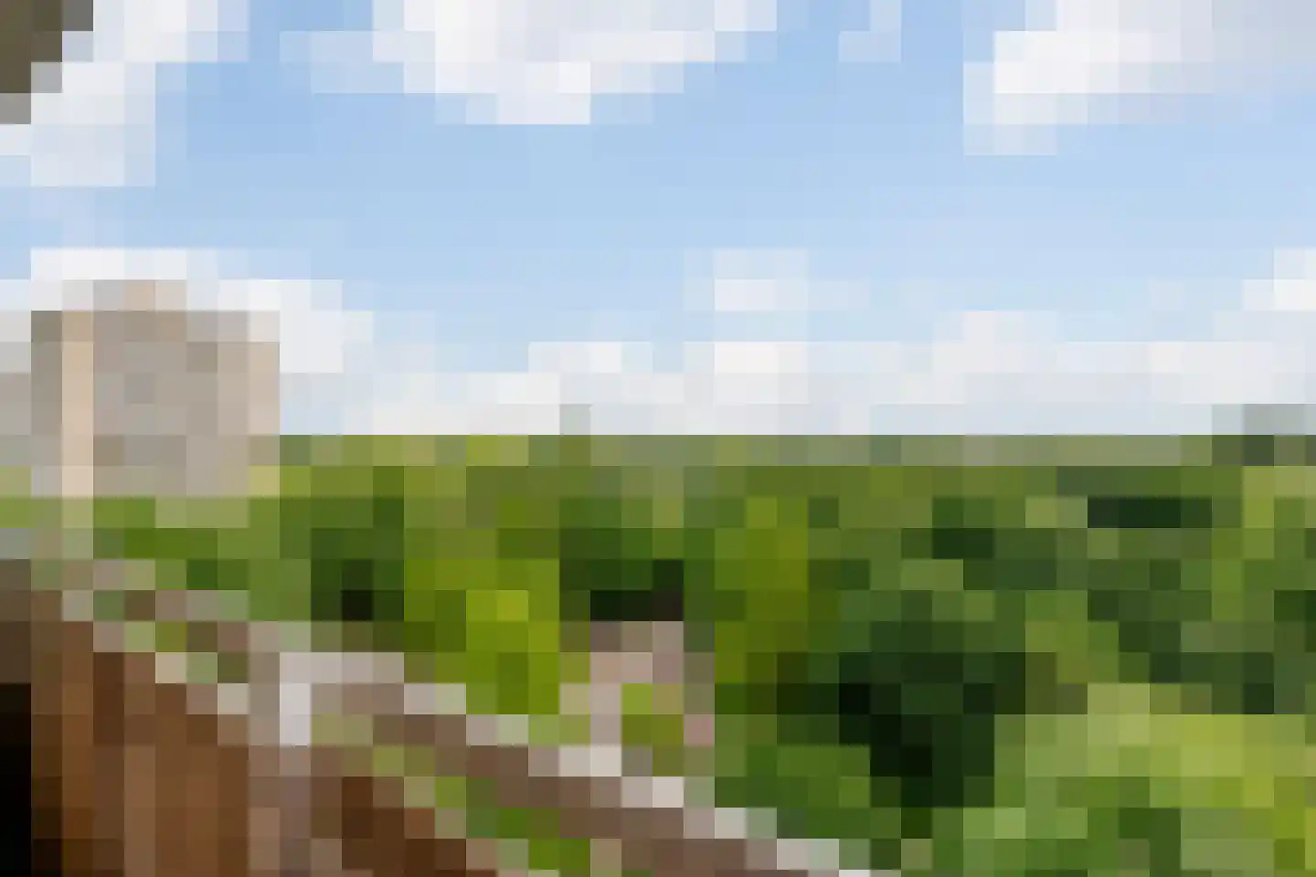 Nachtwachtlaan 480 Amsterdam thumbnail 24