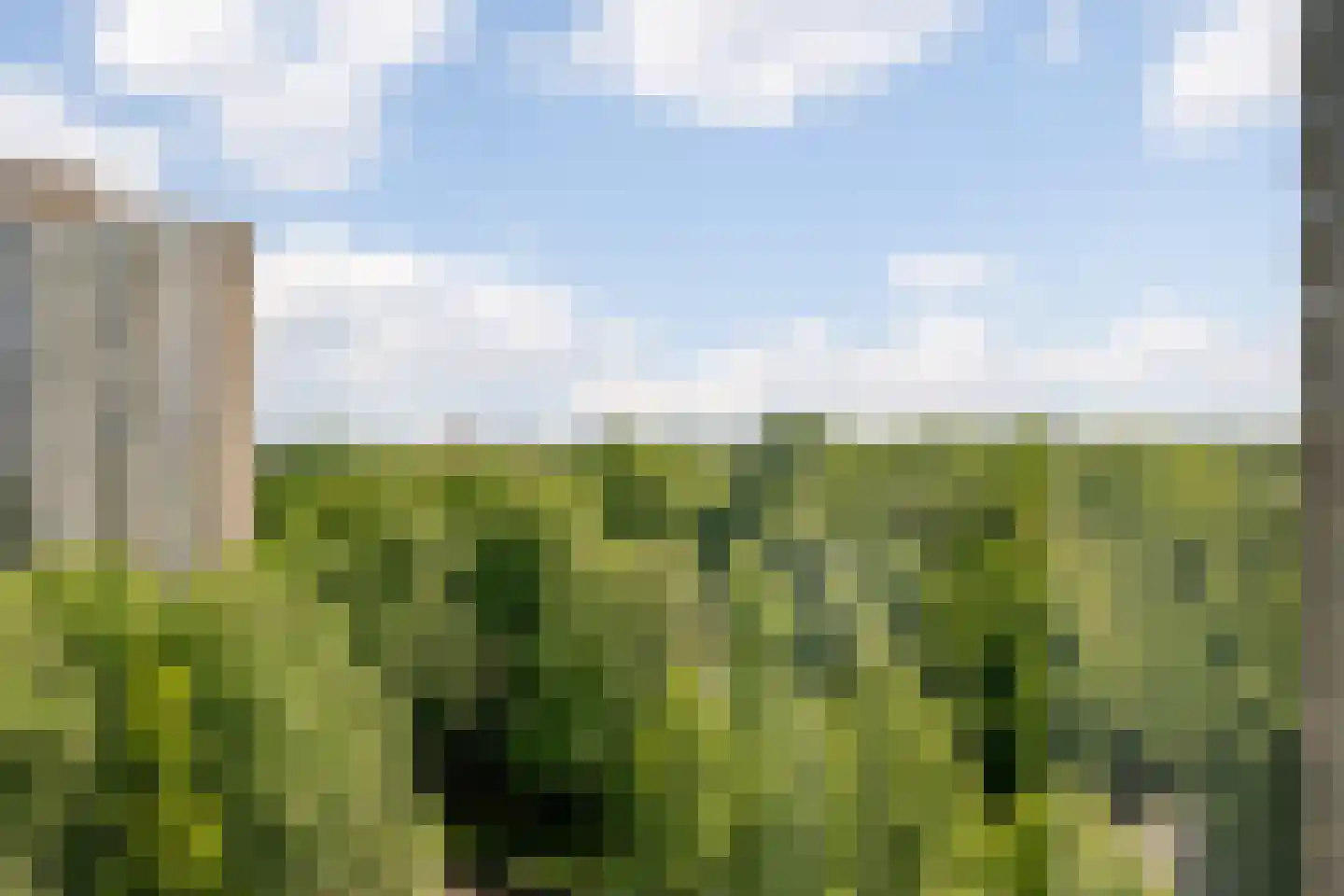 Nachtwachtlaan 480 Amsterdam thumbnail 25