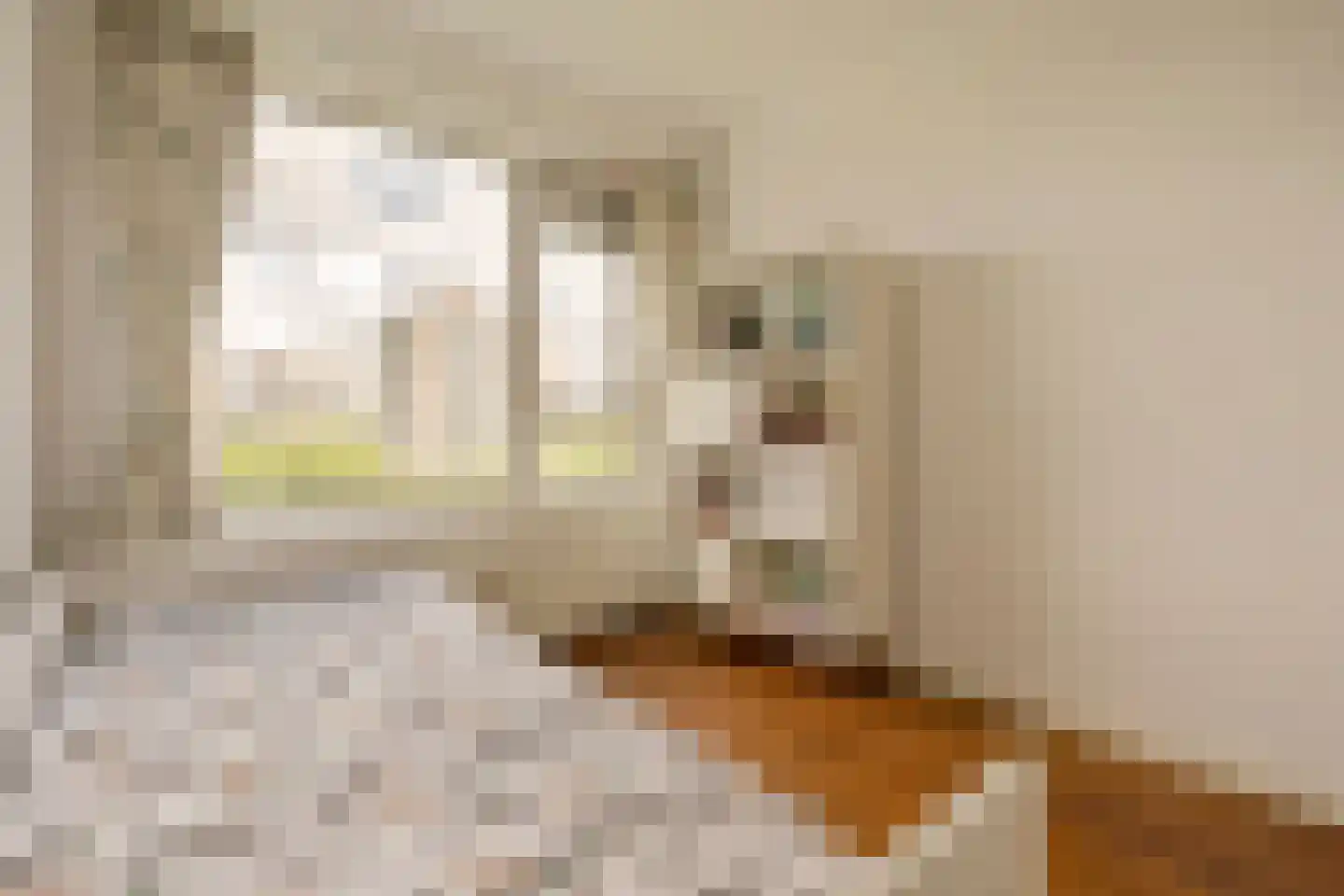 Nachtwachtlaan 480 Amsterdam thumbnail 35