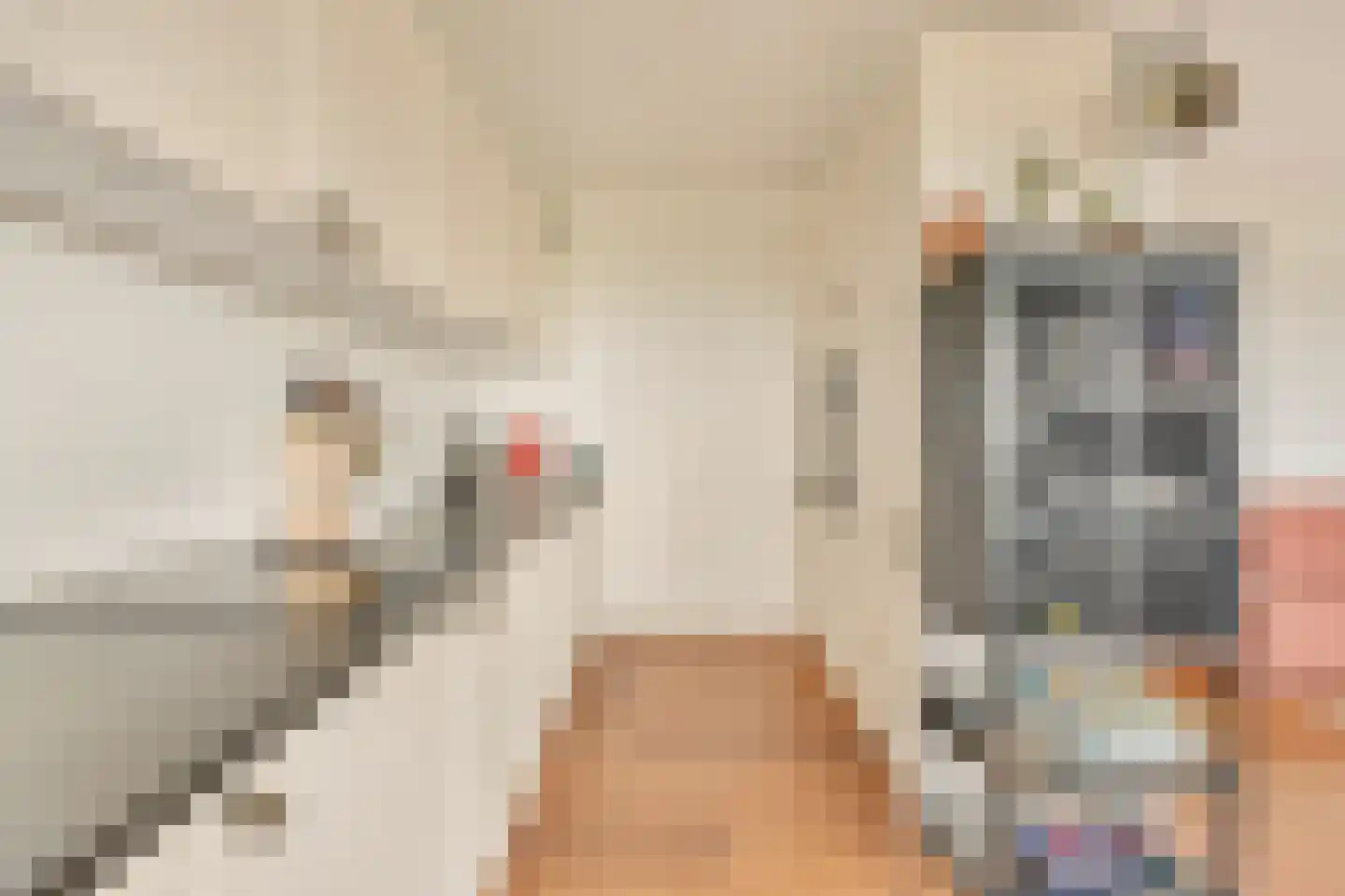 Nachtwachtlaan 480 Amsterdam thumbnail 9