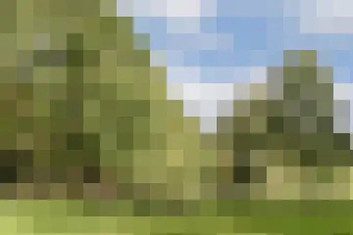 Nachtwachtlaan 496 Amsterdam thumbnail 20