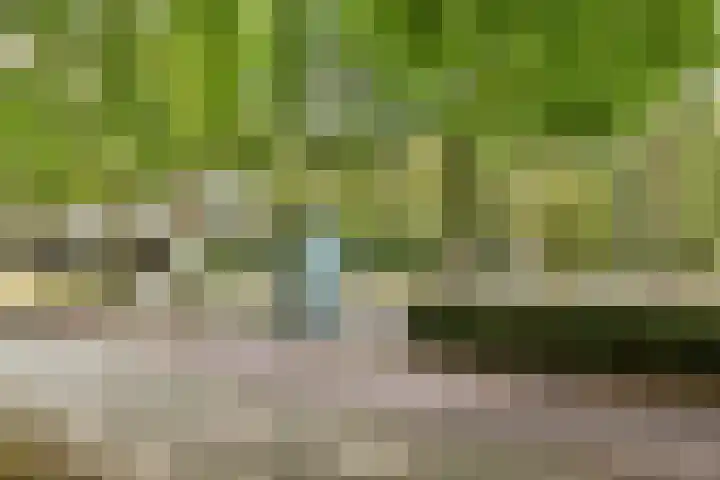 Nachtwachtlaan 496 Amsterdam thumbnail 22
