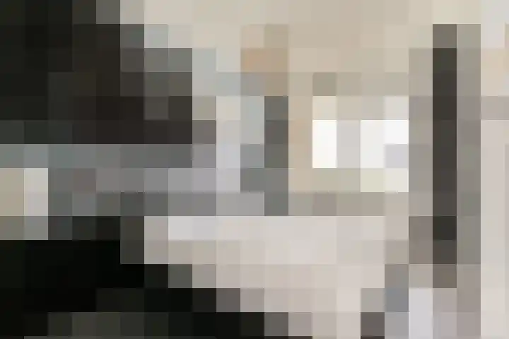 Nachtwachtlaan 496 Amsterdam thumbnail 9