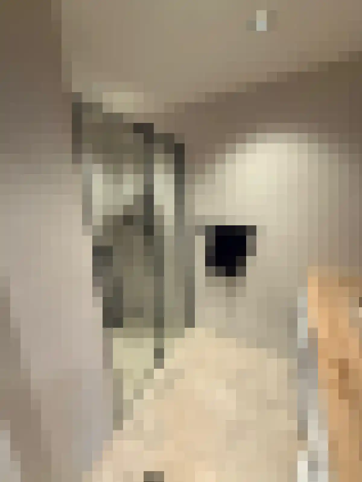 Nachtwachtlaan 500 Amsterdam thumbnail 4