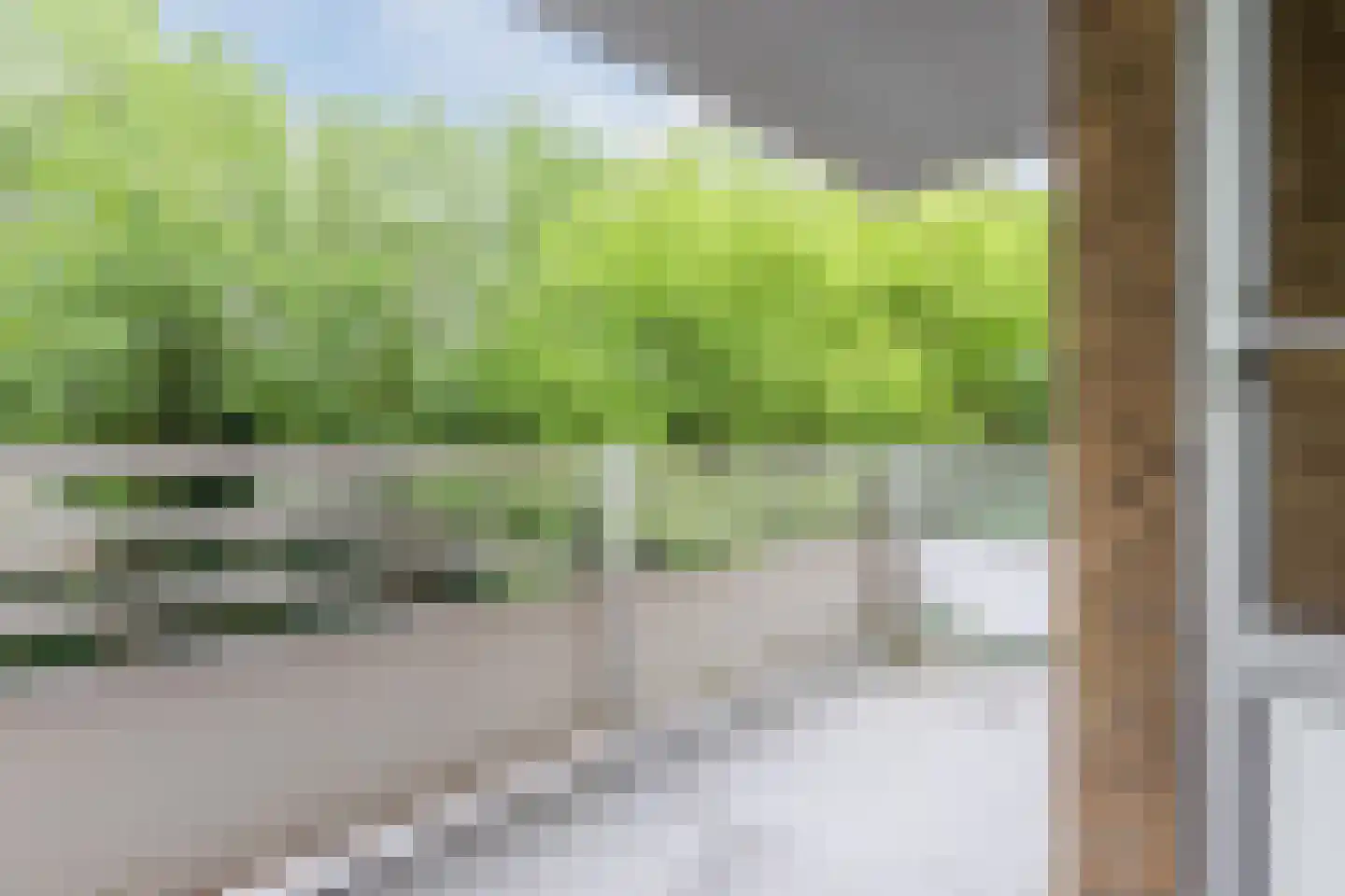 Nachtwachtlaan 51 Amsterdam thumbnail 11