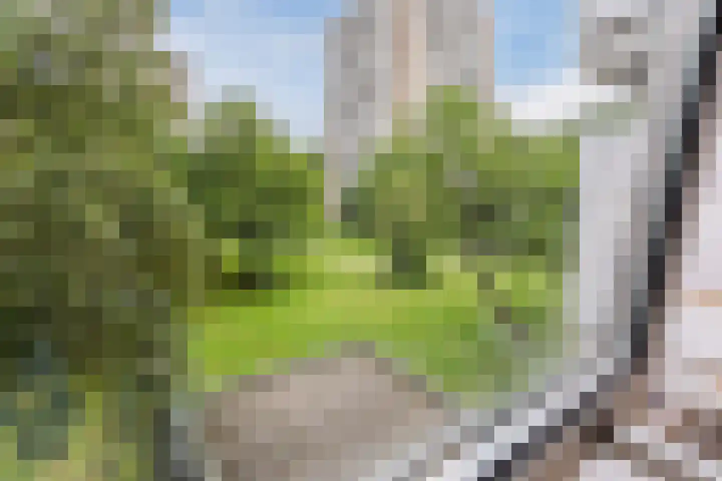Nachtwachtlaan 51 Amsterdam thumbnail 22