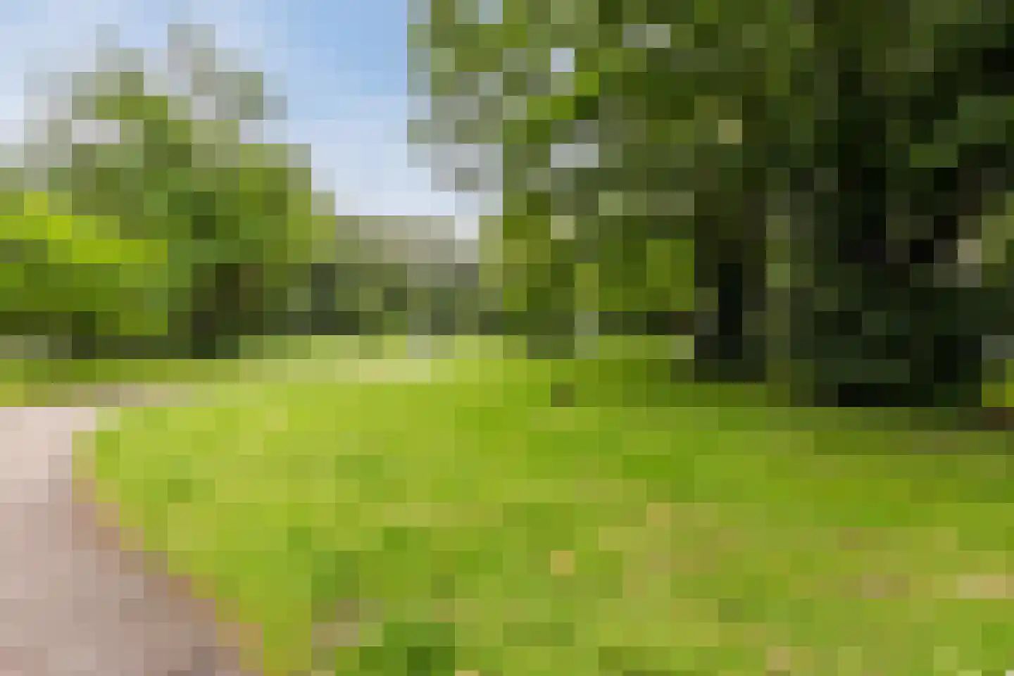 Nachtwachtlaan 51 Amsterdam thumbnail 36