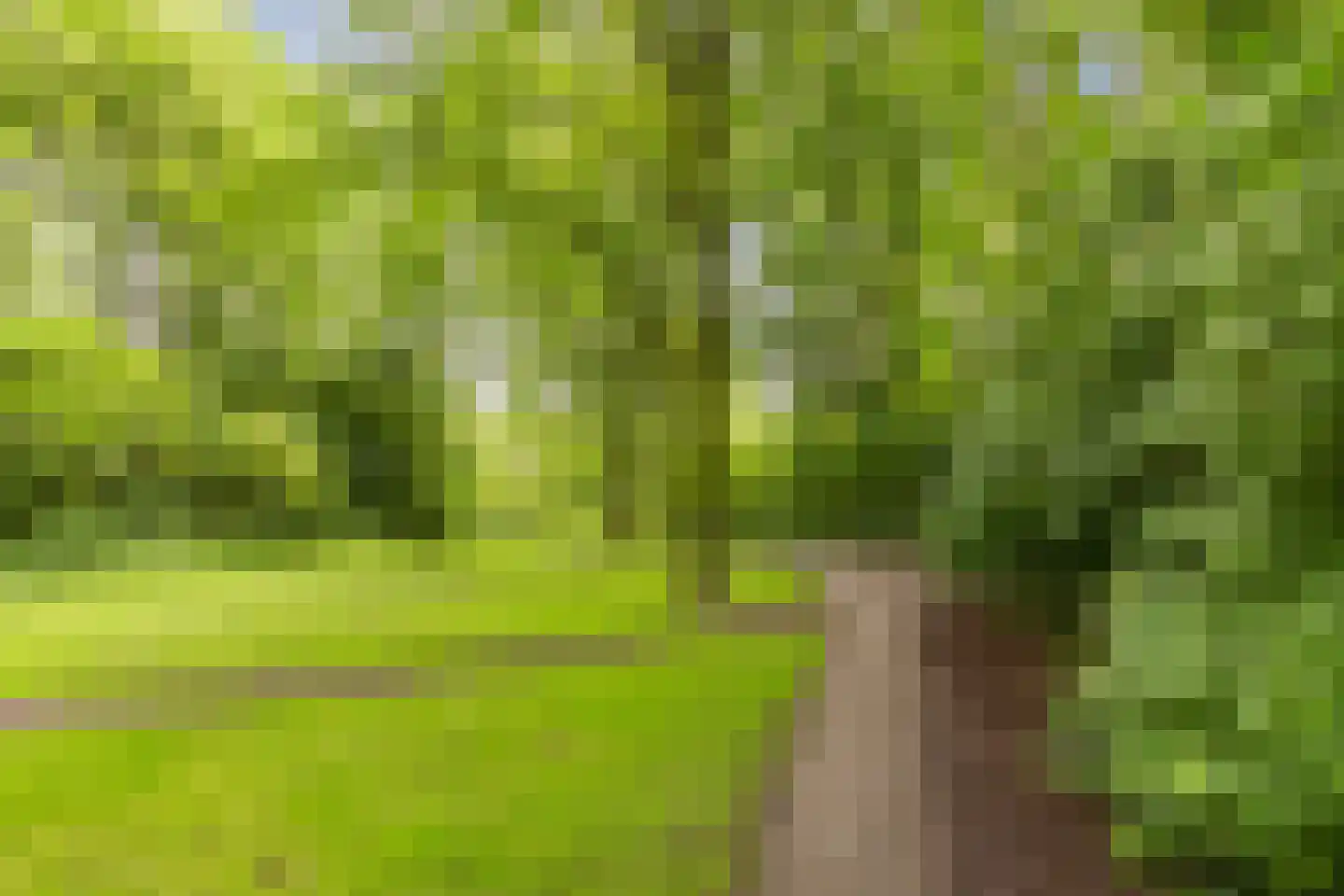 Nachtwachtlaan 51 Amsterdam thumbnail 38