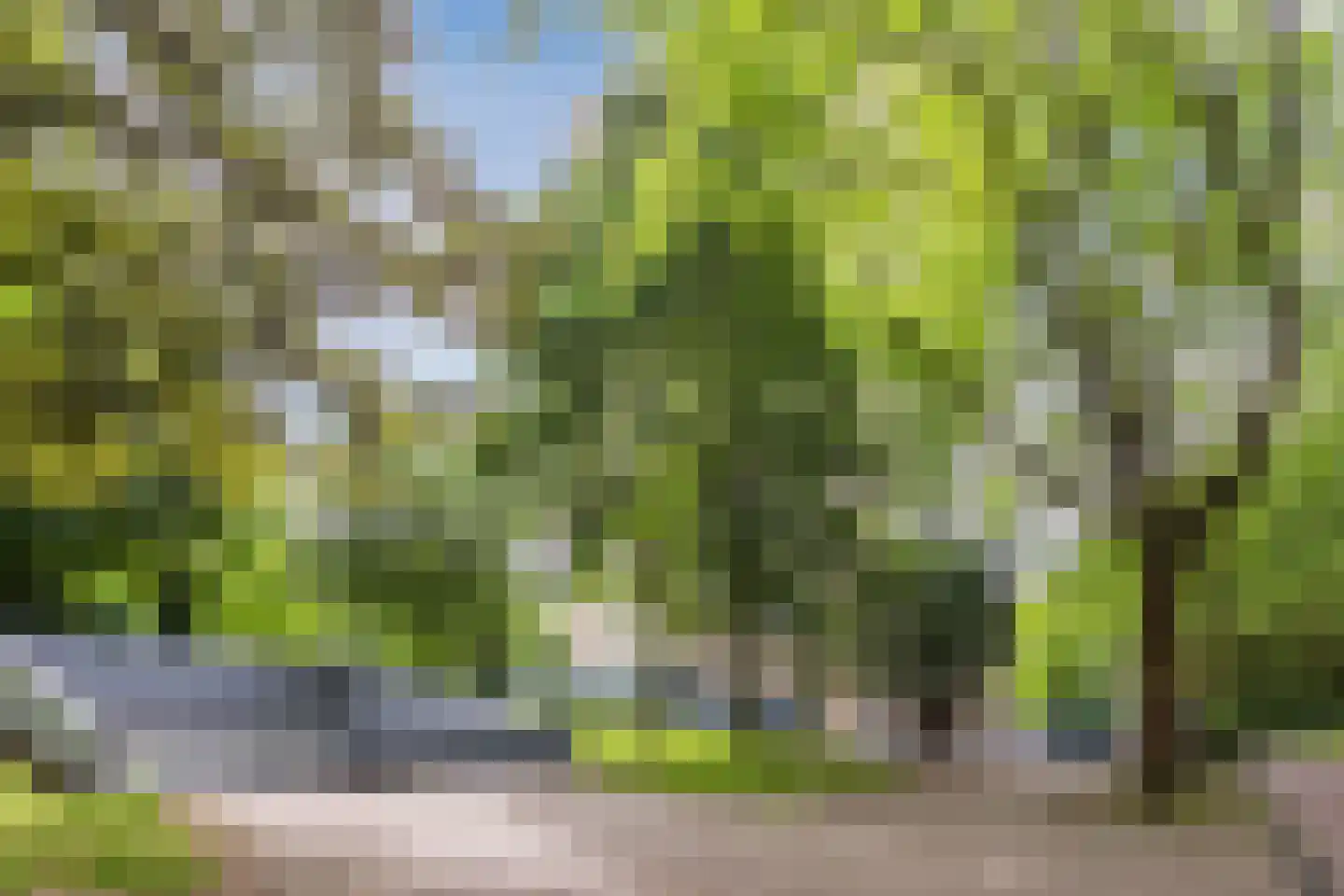 Nachtwachtlaan 51 Amsterdam thumbnail 42