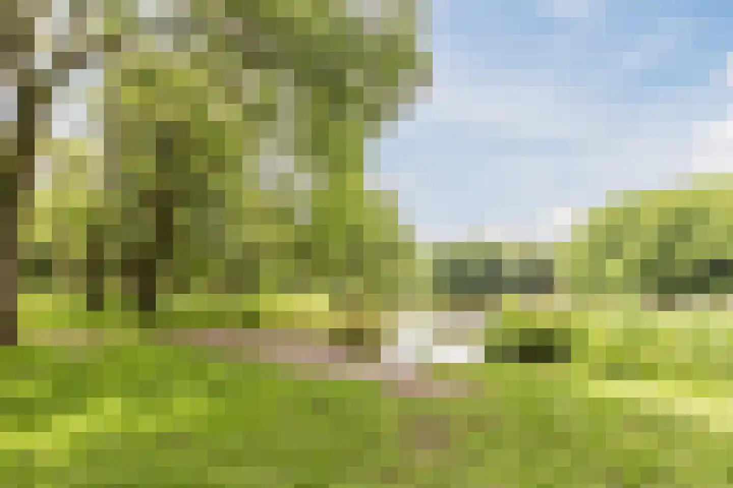 Nachtwachtlaan 51 Amsterdam thumbnail 43