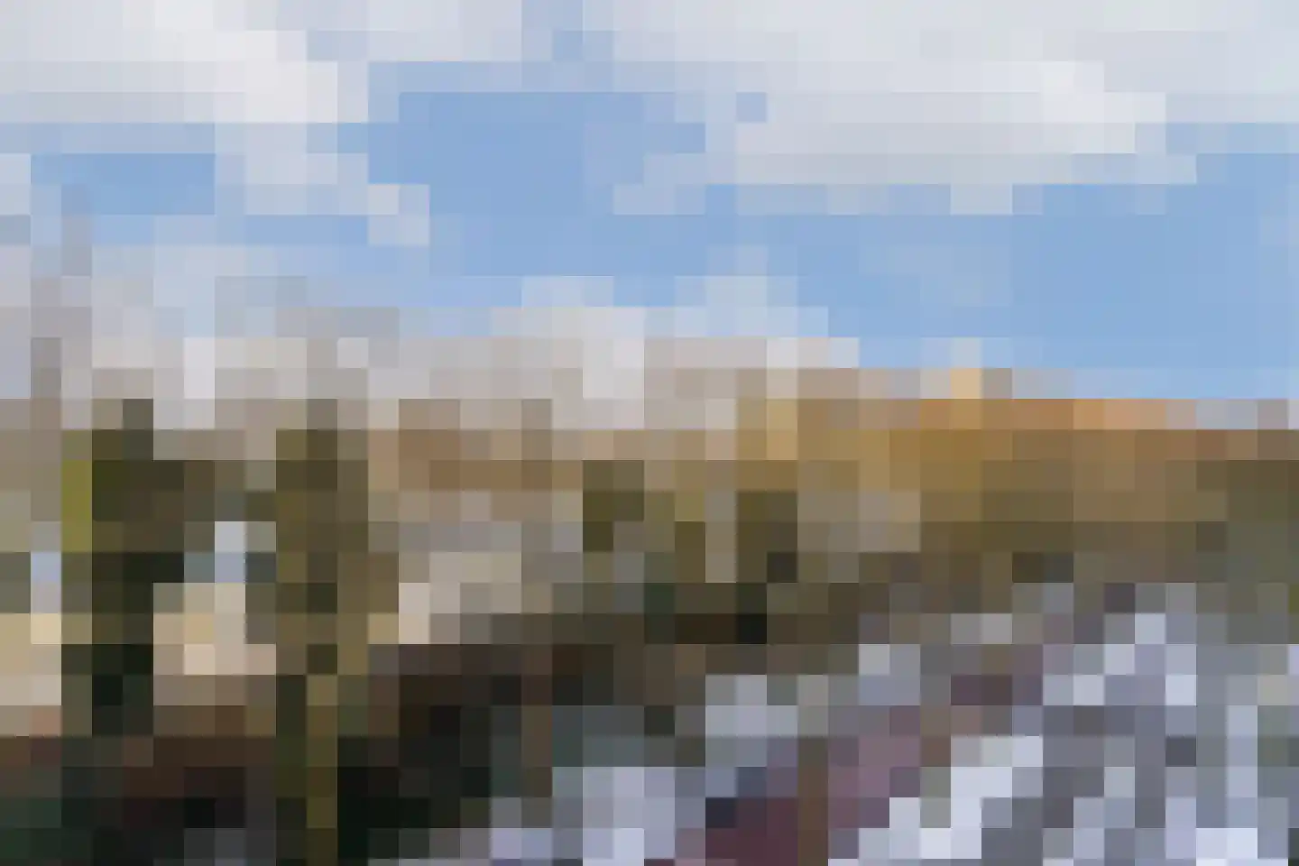 Nachtwachtlaan 62 Amsterdam thumbnail 11