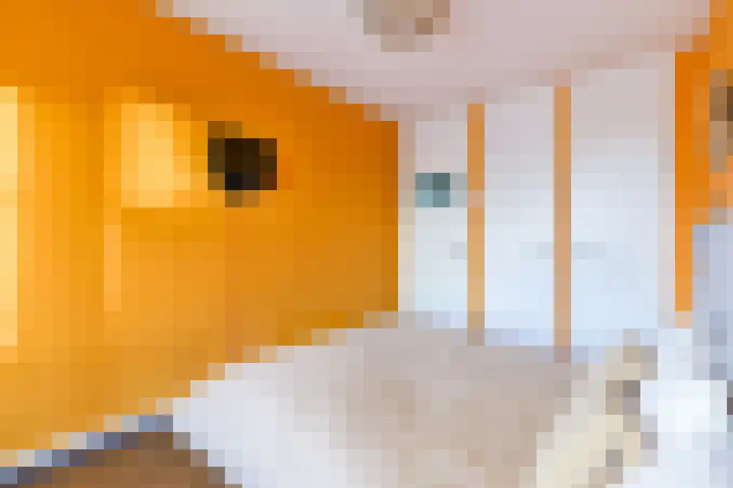 Nachtwachtlaan 62 Amsterdam thumbnail 13