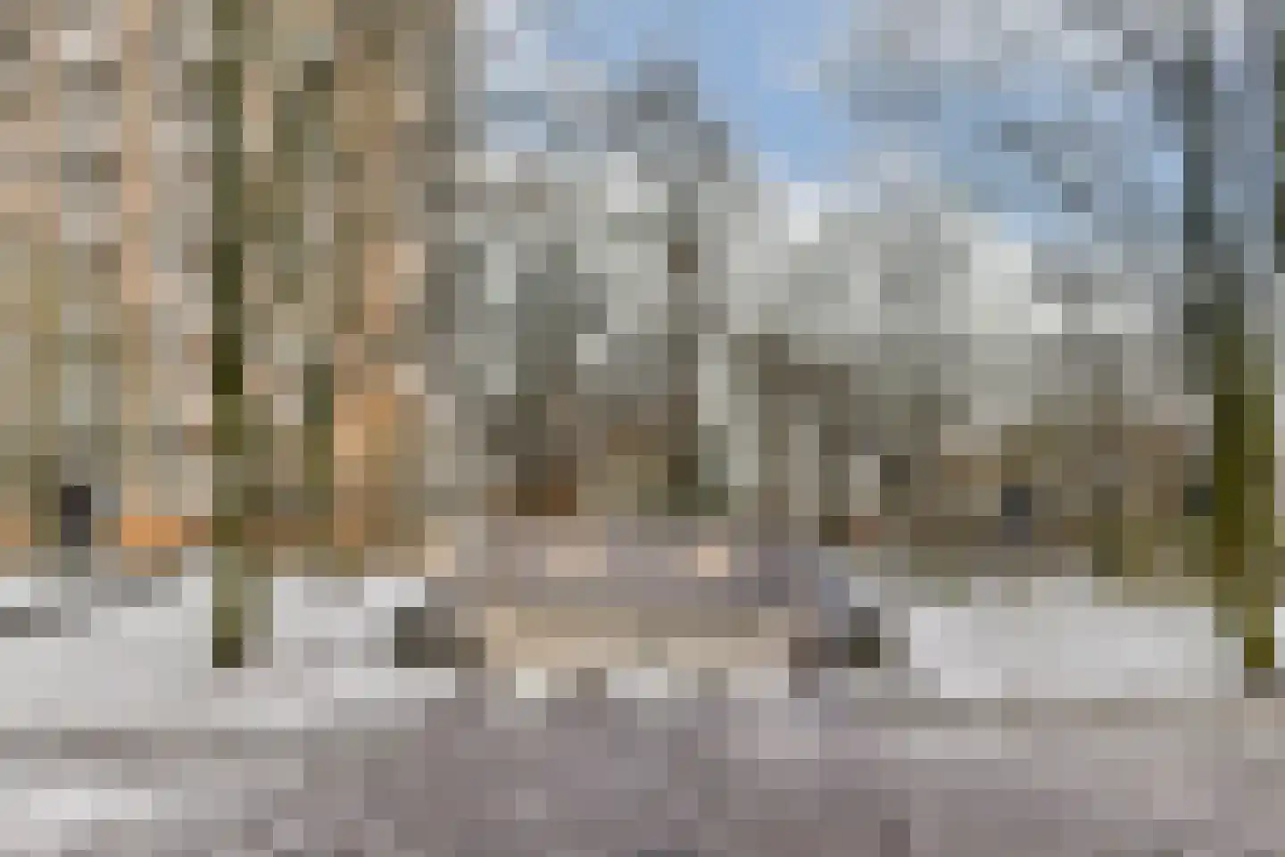 Nachtwachtlaan 62 Amsterdam thumbnail 20