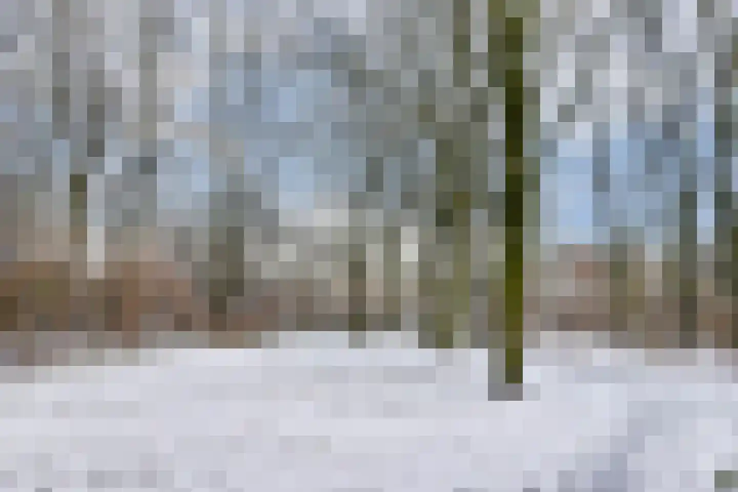 Nachtwachtlaan 62 Amsterdam thumbnail 22