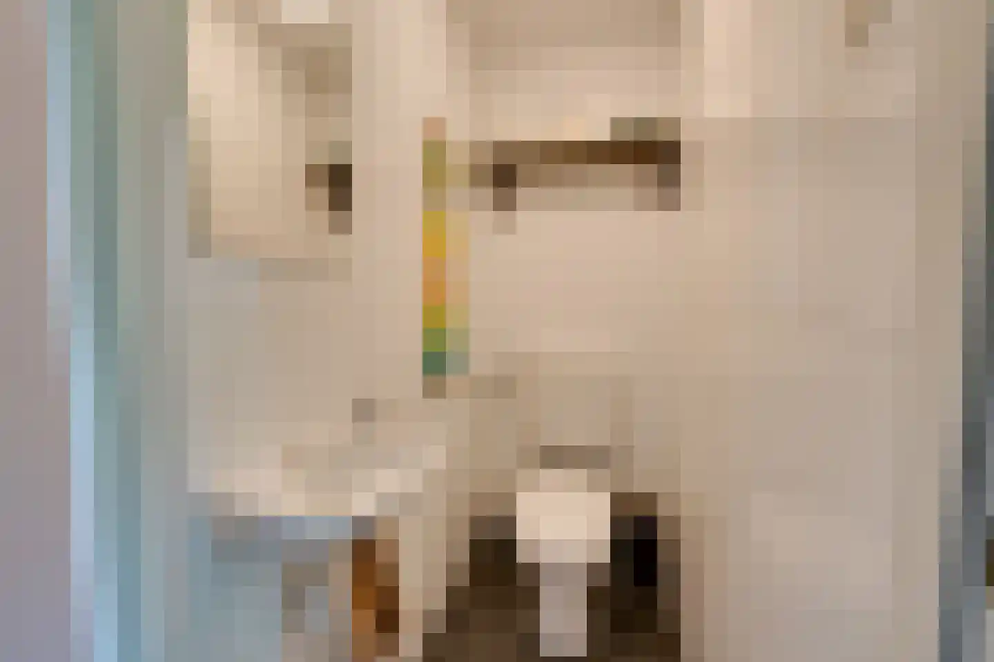 Nachtwachtlaan 66 Amsterdam thumbnail 31