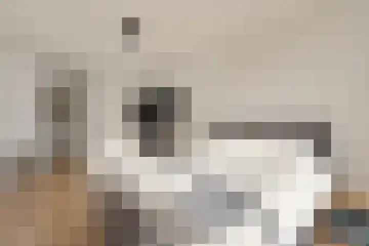 Nachtwachtlaan 73 Amsterdam thumbnail 21