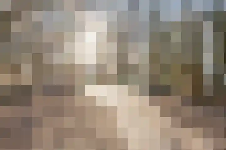Nachtwachtlaan 73 Amsterdam thumbnail 38
