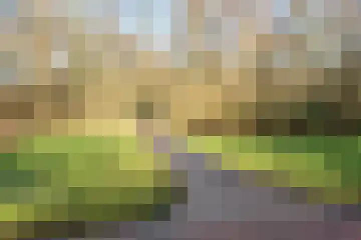 Nachtwachtlaan 73 Amsterdam thumbnail 40
