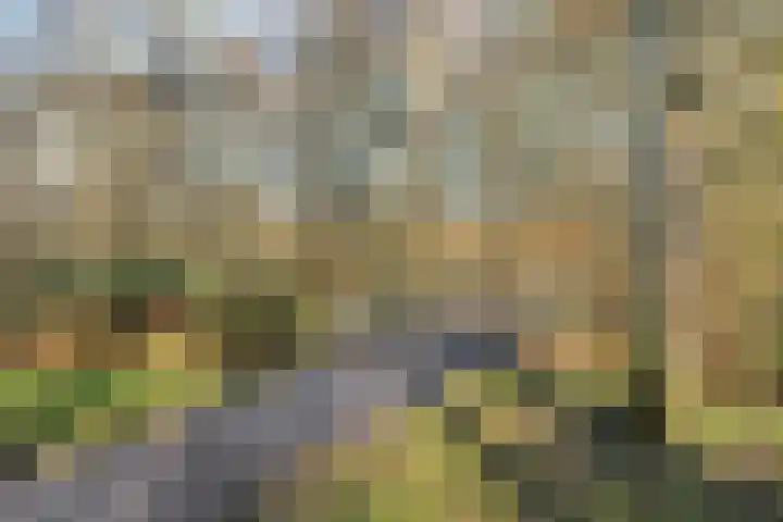 Nachtwachtlaan 73 Amsterdam thumbnail 41