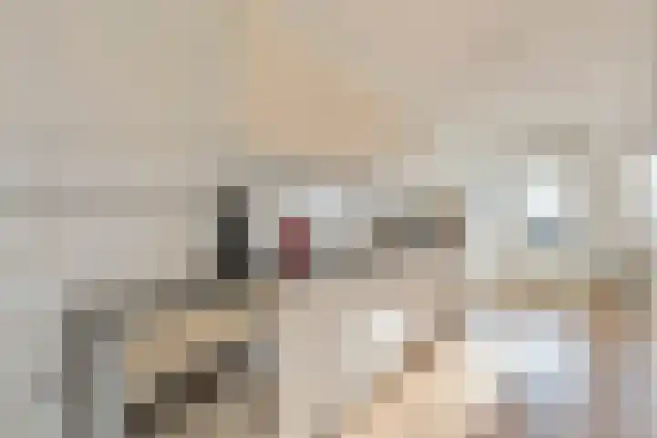 Nachtwachtlaan 73 Amsterdam thumbnail 9