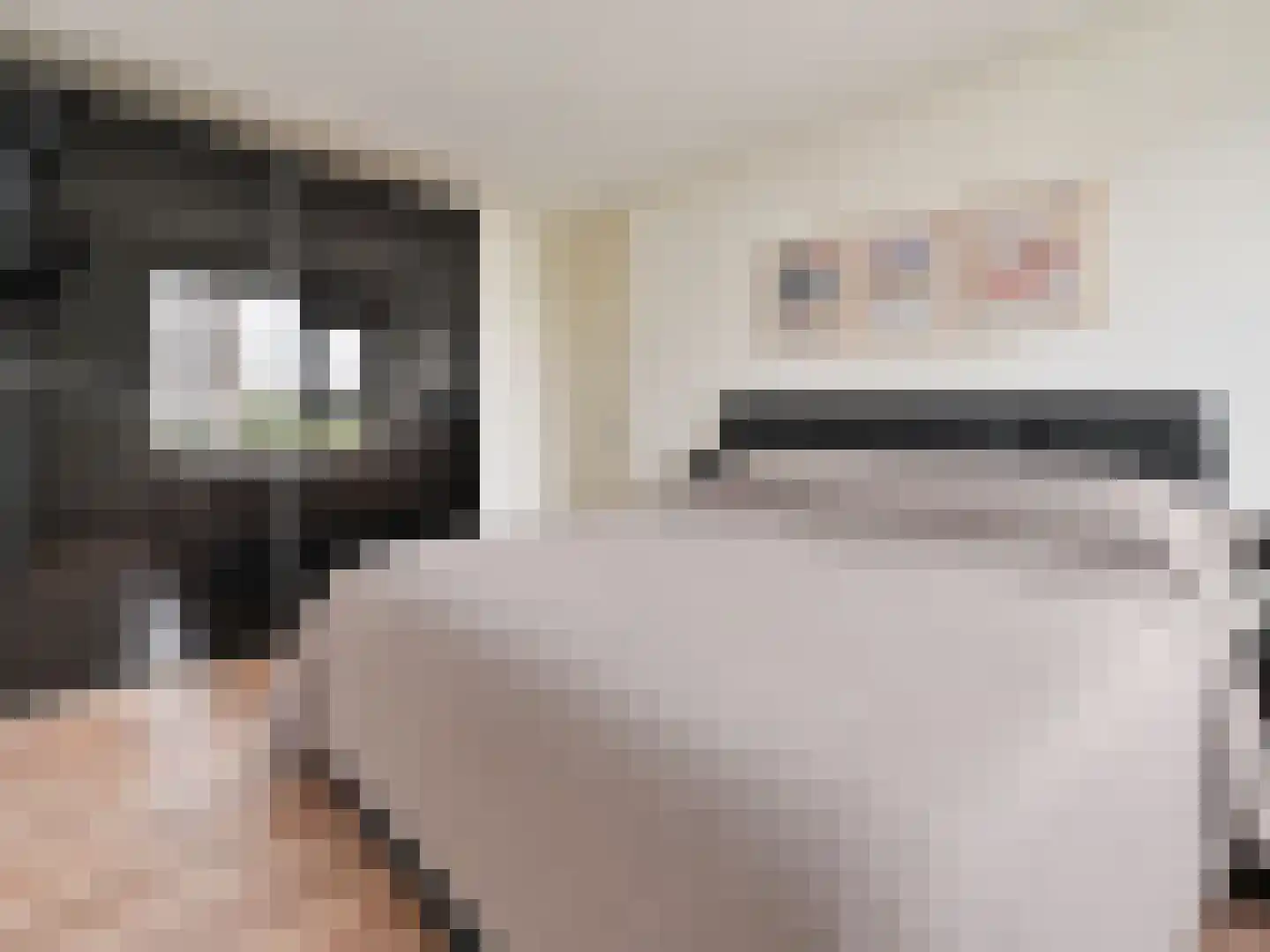 Nachtwachtlaan 76 Amsterdam thumbnail 15