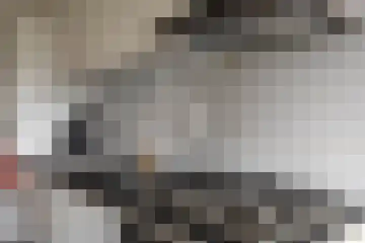 Nachtwachtlaan 85 Amsterdam thumbnail 17