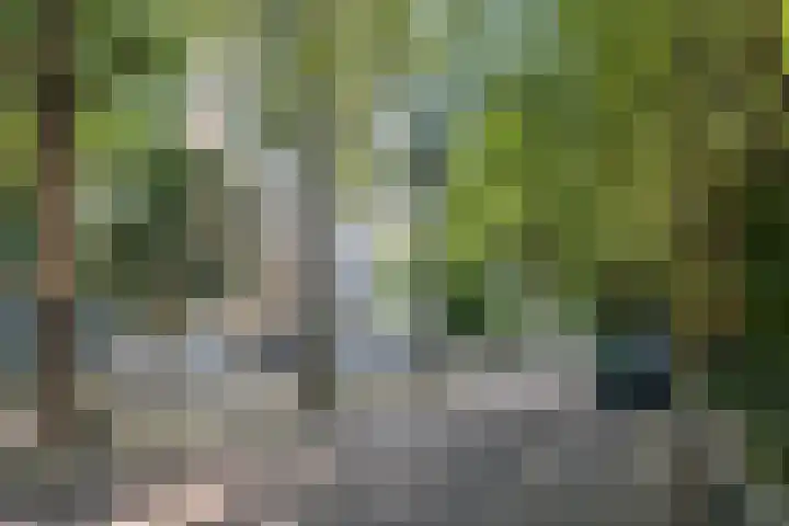 Nachtwachtlaan 85 Amsterdam thumbnail 32