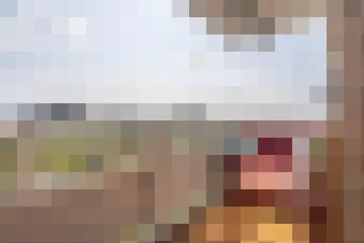 Nachtwachtlaan 85 Amsterdam thumbnail 6