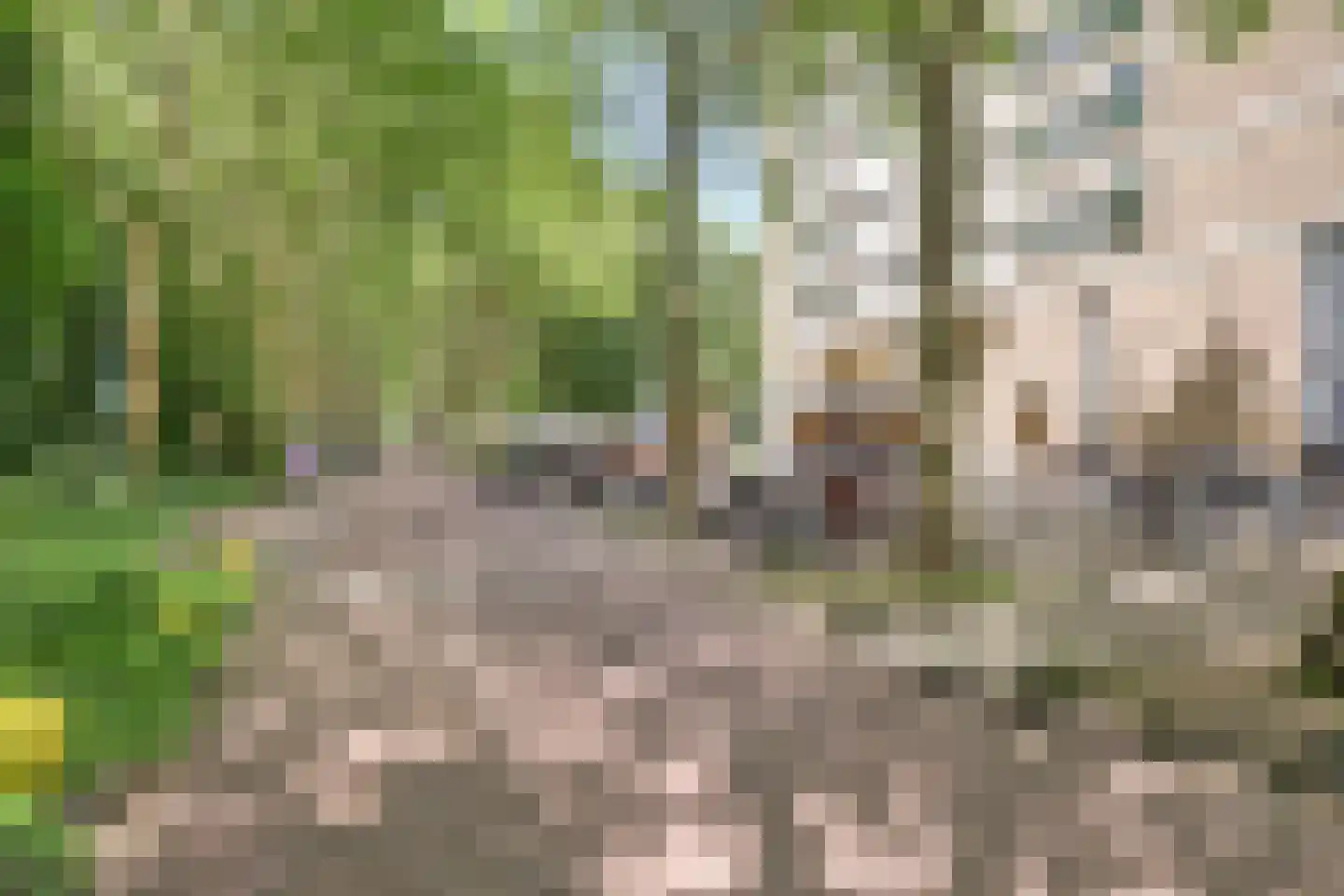 Nachtwachtlaan 93 Amsterdam thumbnail 32