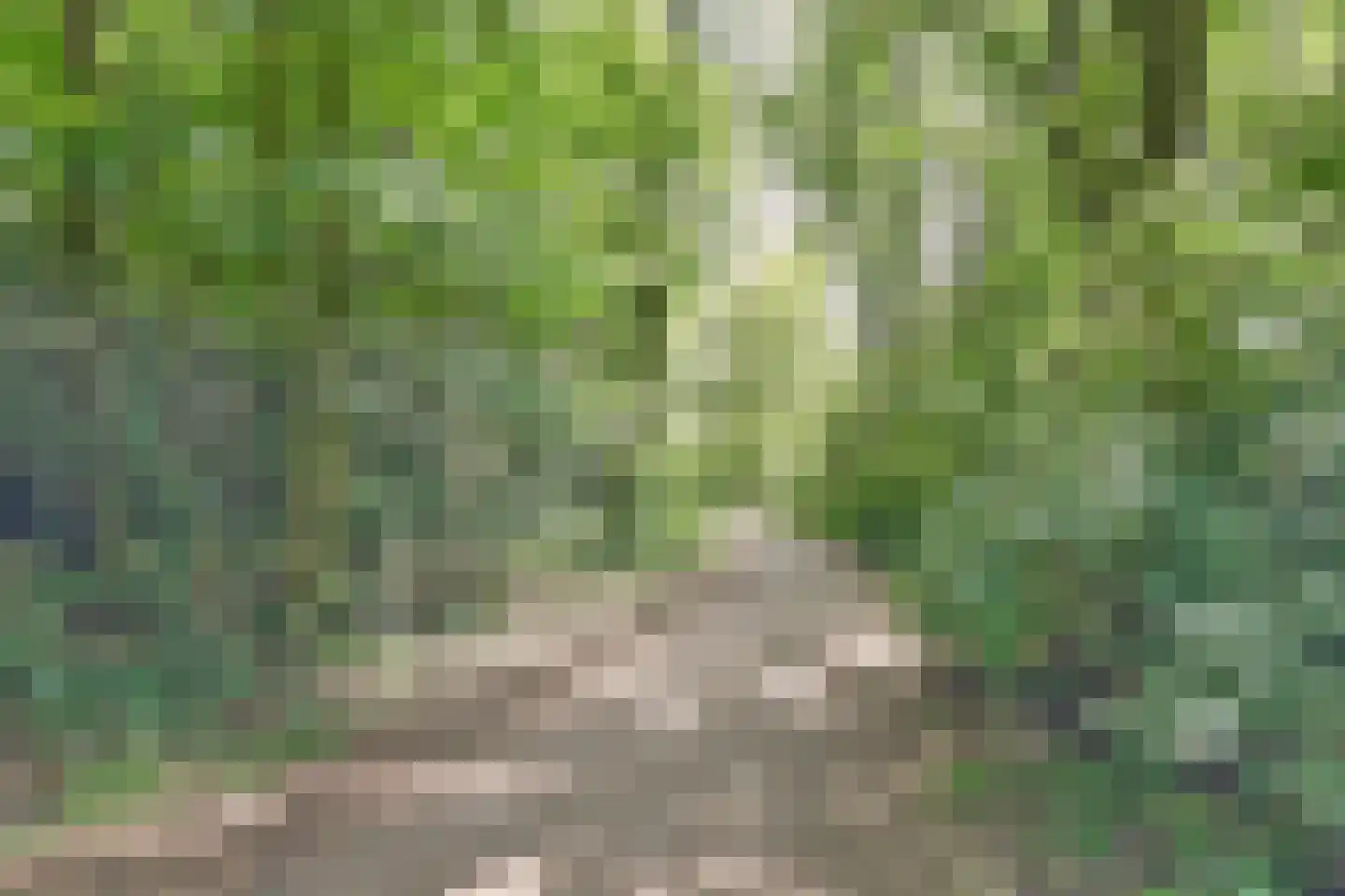 Nachtwachtlaan 93 Amsterdam thumbnail 33