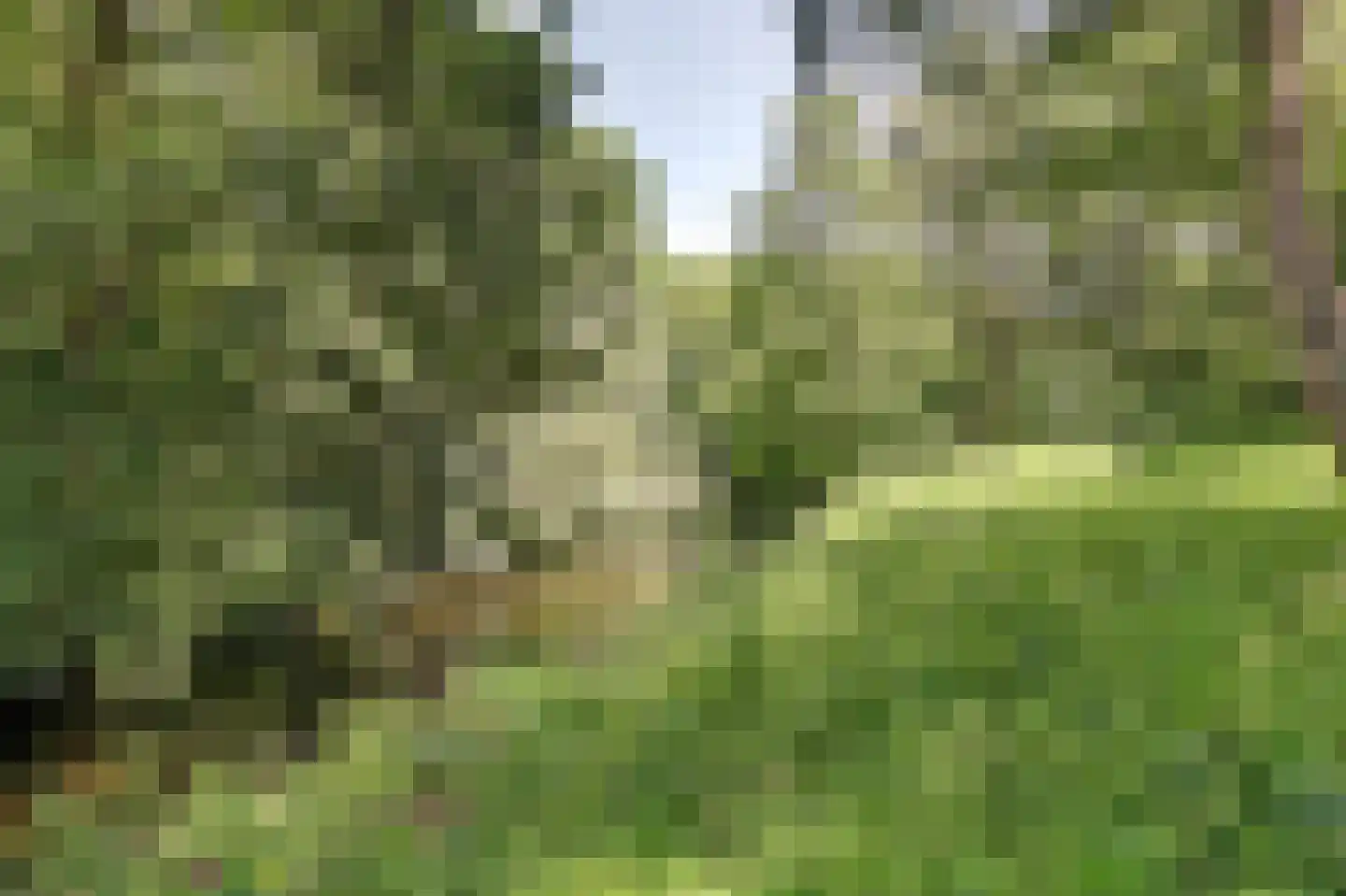 Nachtwachtlaan 93 Amsterdam thumbnail 35