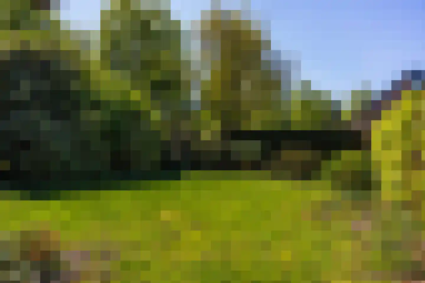 Nachtwachtplein 8 Lochem thumbnail 21