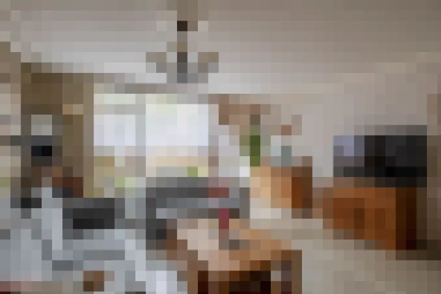 Nachtwaker 17 Rhoon thumbnail 15